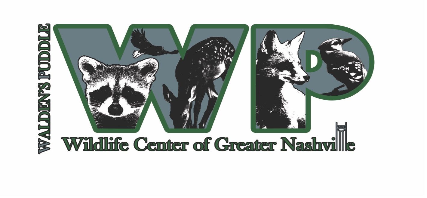 Walden's Puddle Wildlife Rehab Educ Ctr