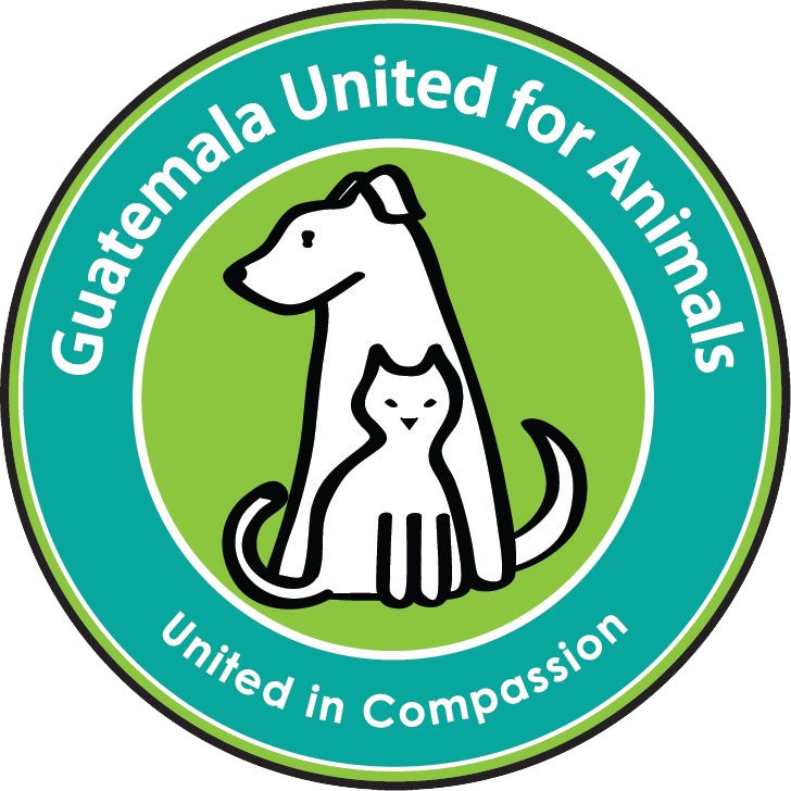 Guatemala United for Animals