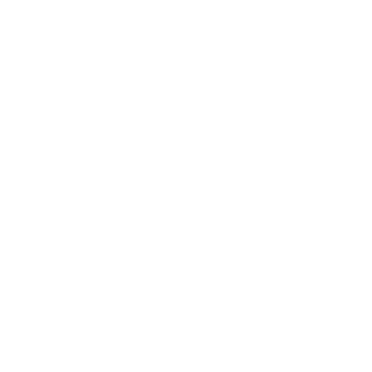 Oakland Chinatown Chamber Foundation