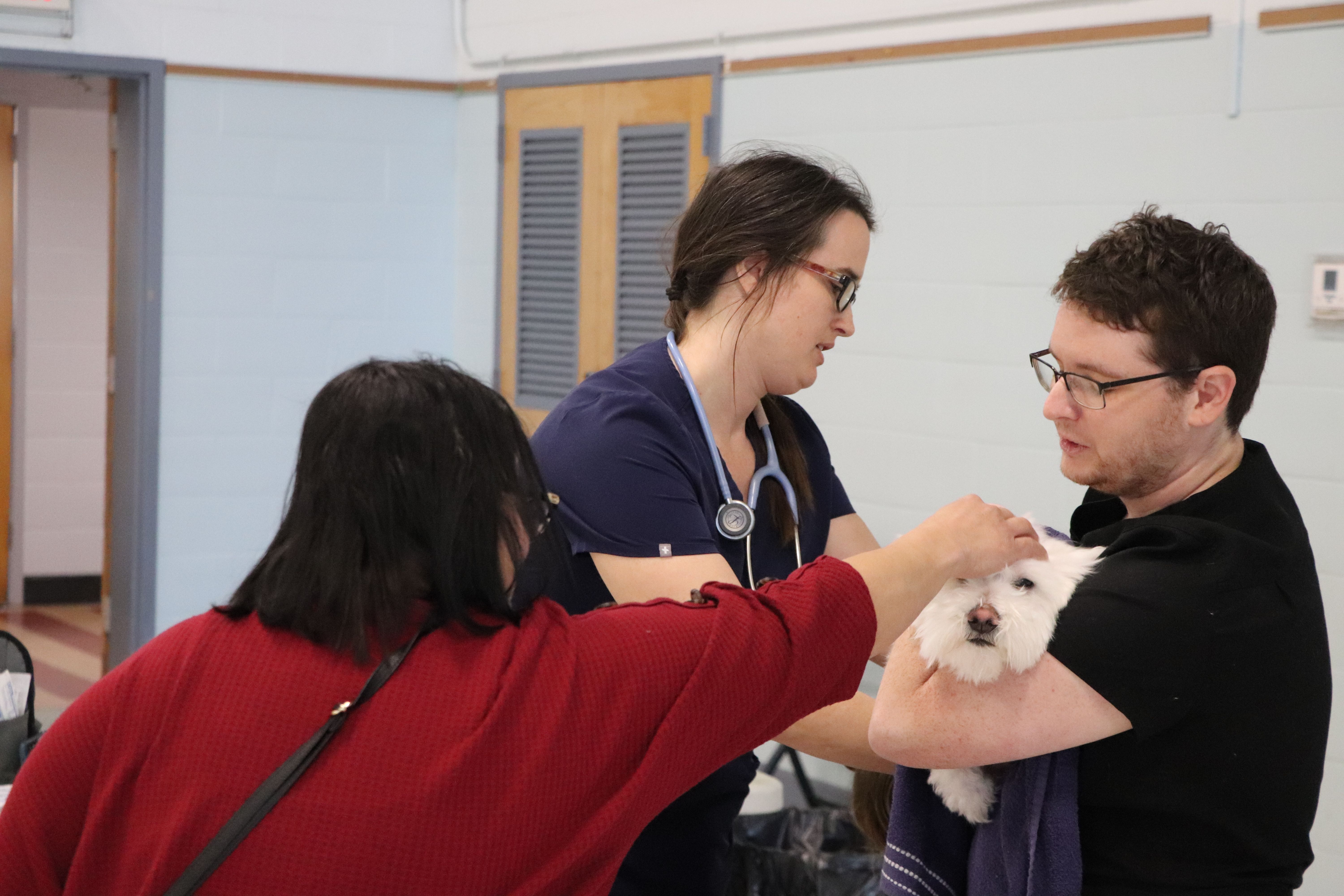 Veterinary Care Everywhere