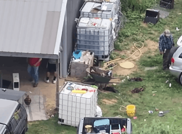 SHARK Showing Animals Respect and Kindness