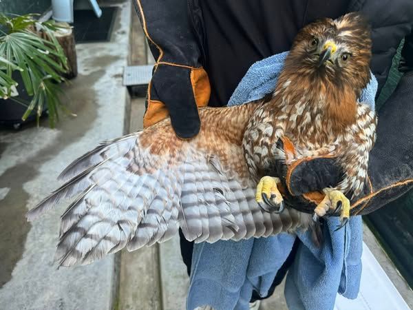 Ohlone Humane Society