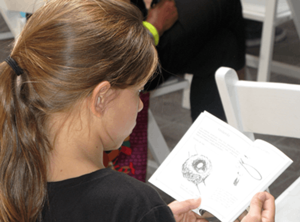 Environment for the Americas