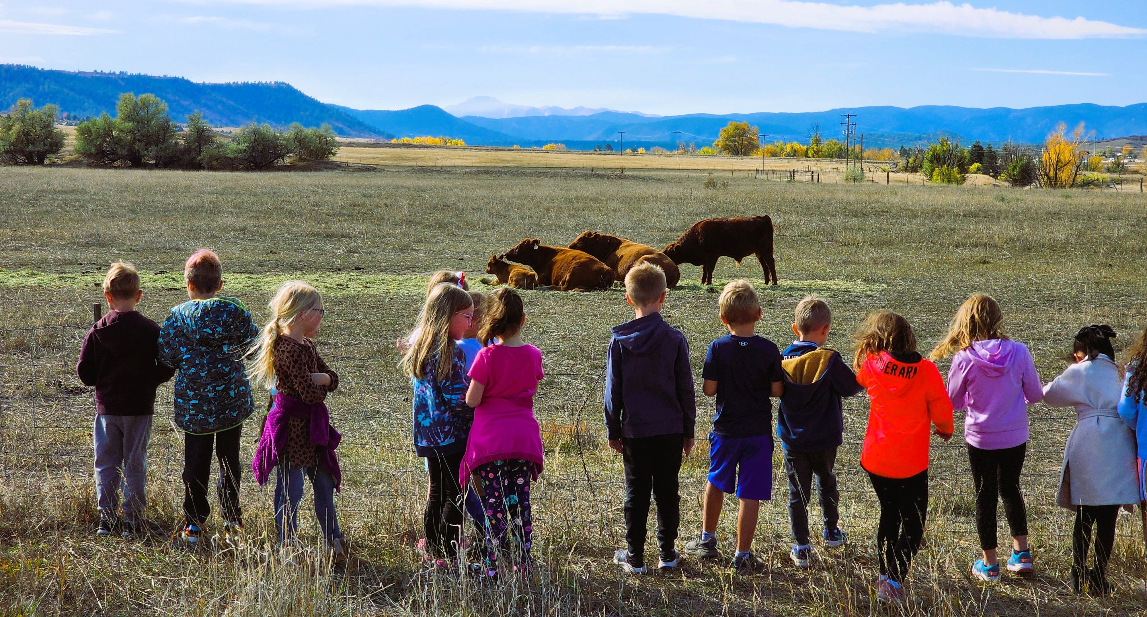 Colorado Agricultural Leadership Foundation