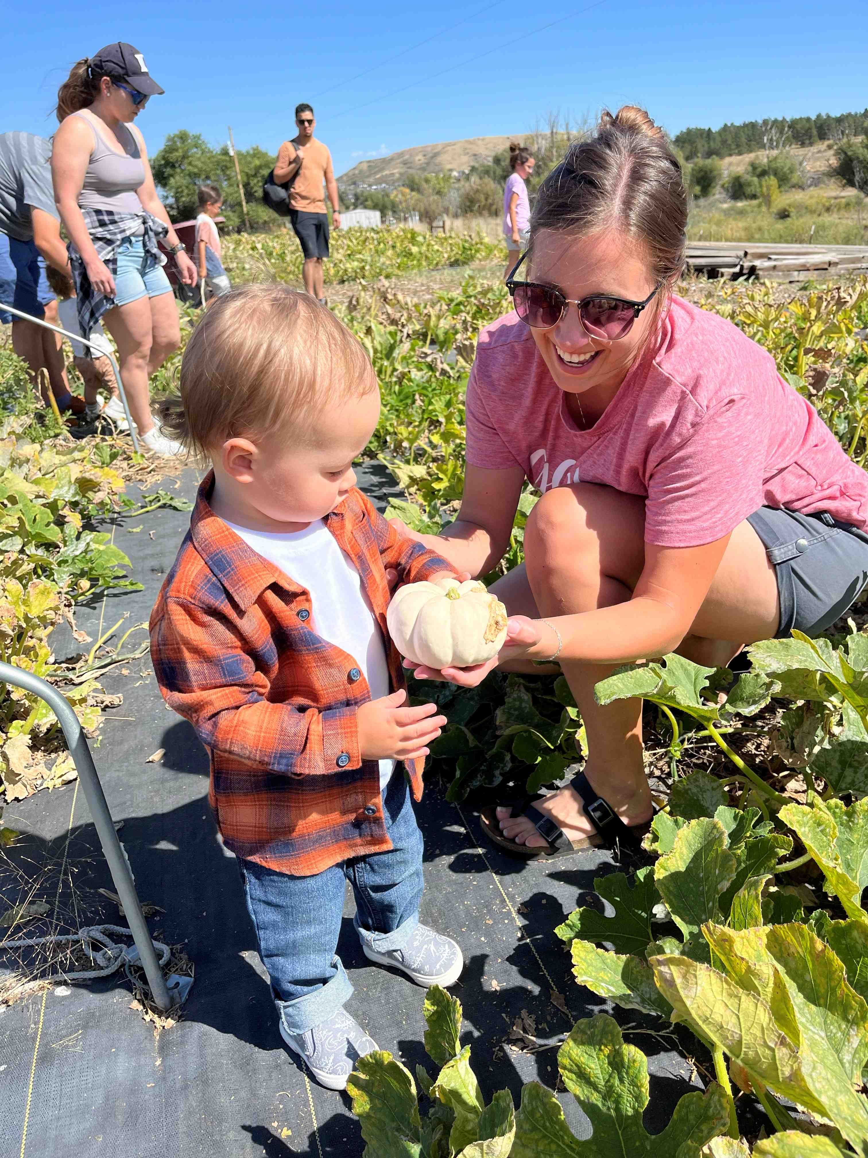 Colorado Agricultural Leadership Foundation