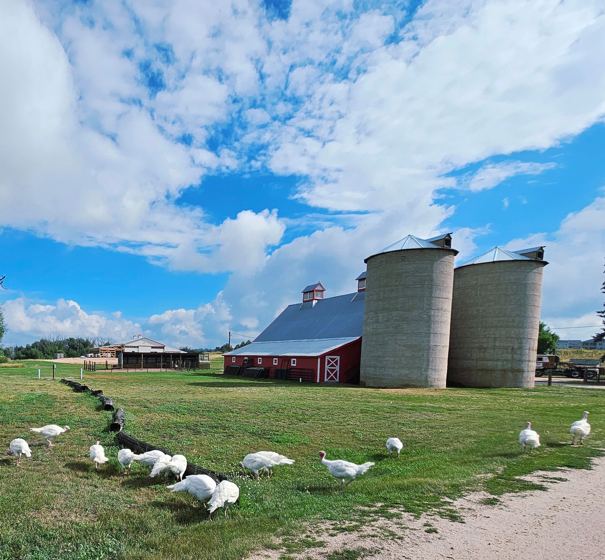 Colorado Agricultural Leadership Foundation