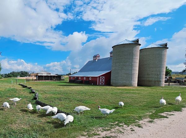 Colorado Agricultural Leadership Foundation