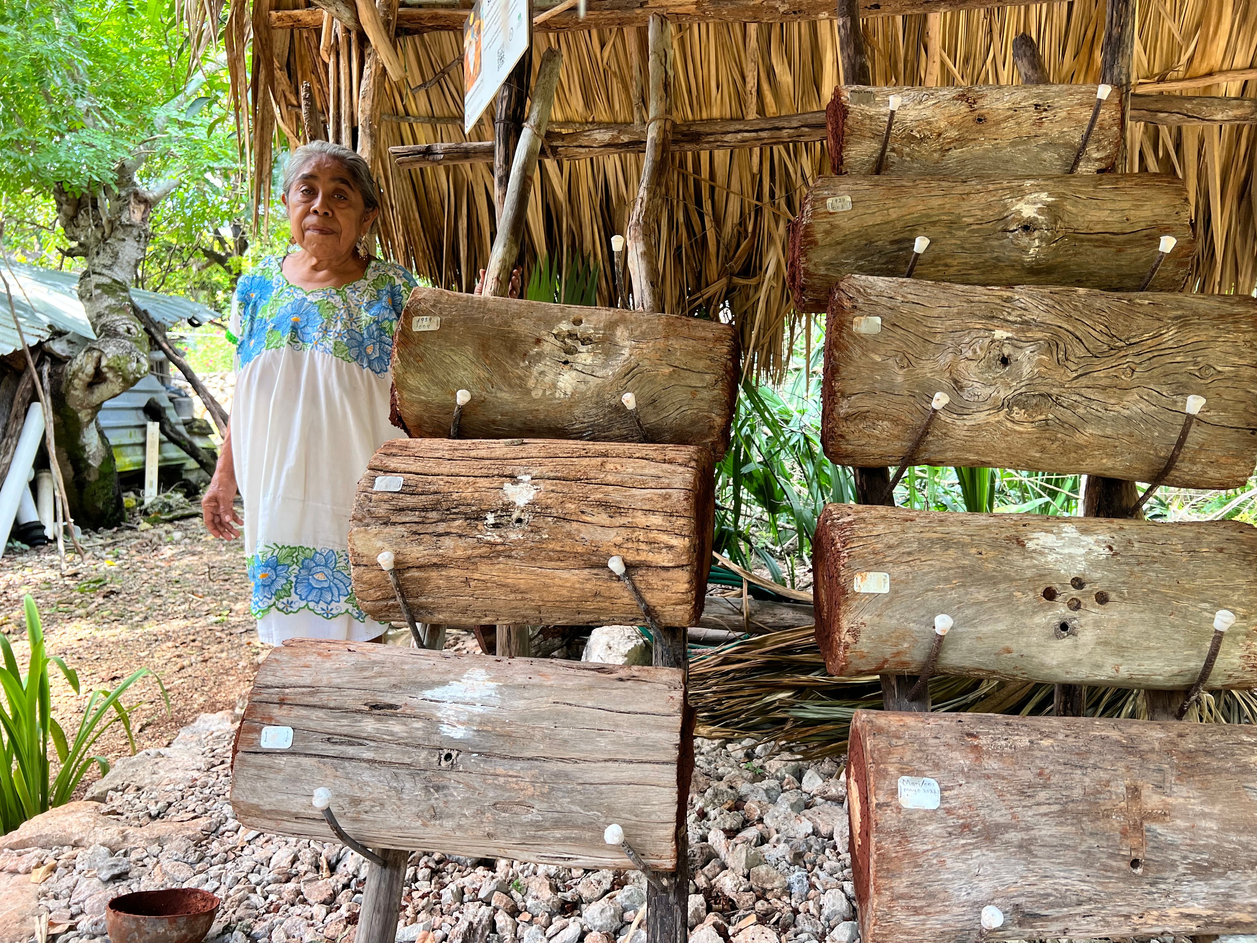 MayanMeliponaBee Inc