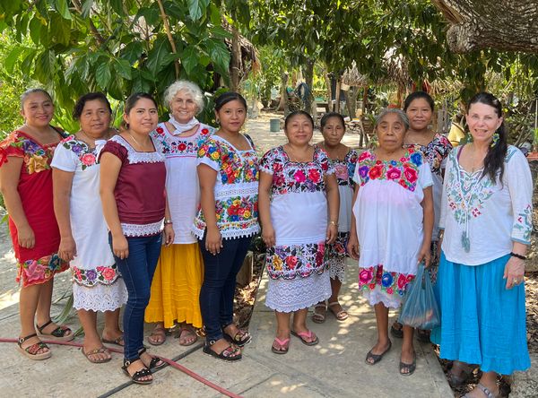 MayanMeliponaBee Inc