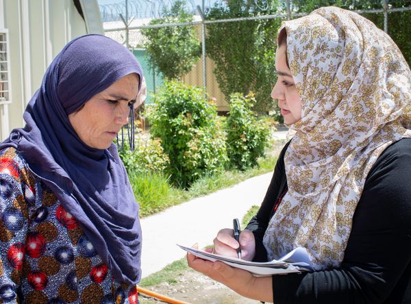 The International Legal Foundation, LTD