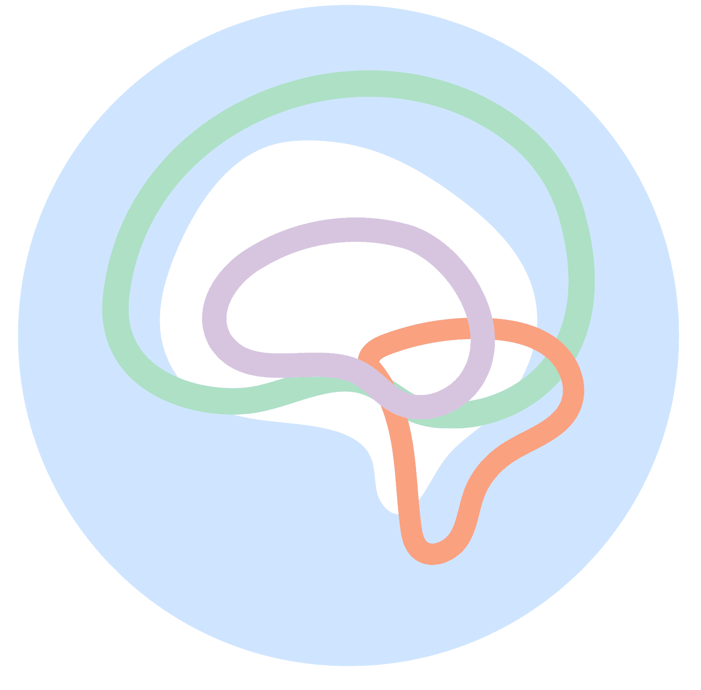 My Good Brain, Inc
