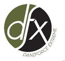 Danzforce Extreme Guild