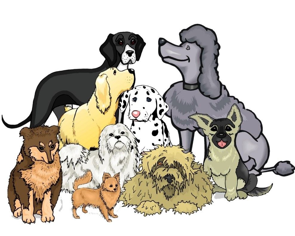 Perfect Paws Pet Rescue, Inc.