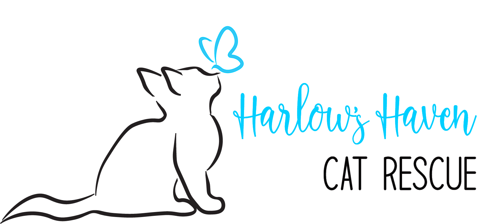 Harlow’s Haven Cat Rescue