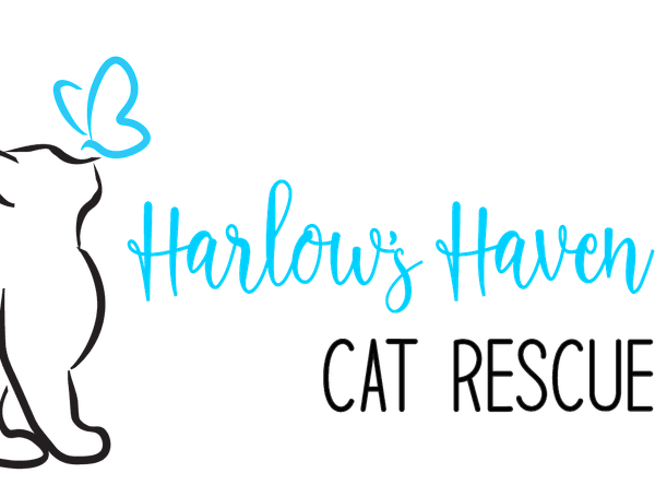 Harlow’s Haven Cat Rescue