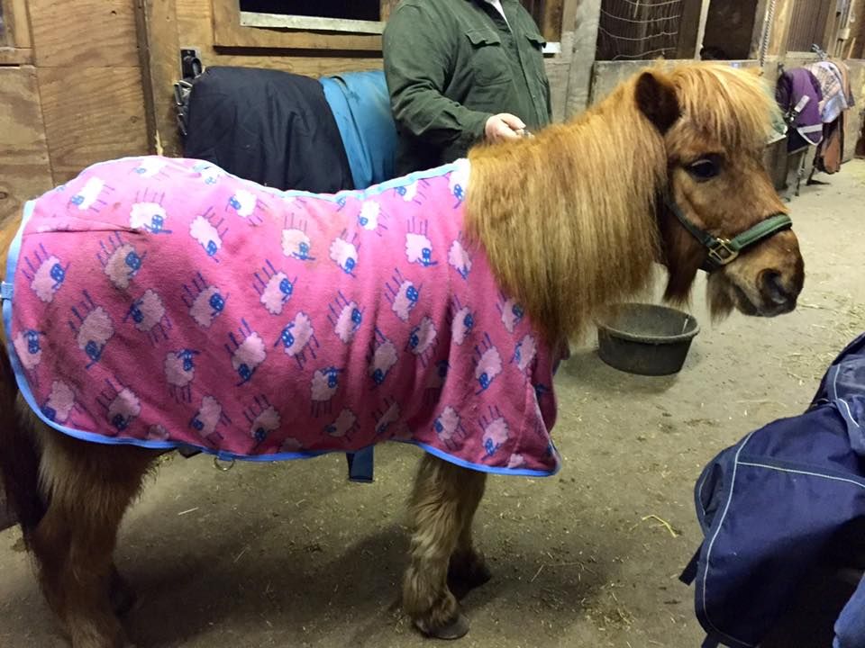 The Joy of Jasper, Inc.