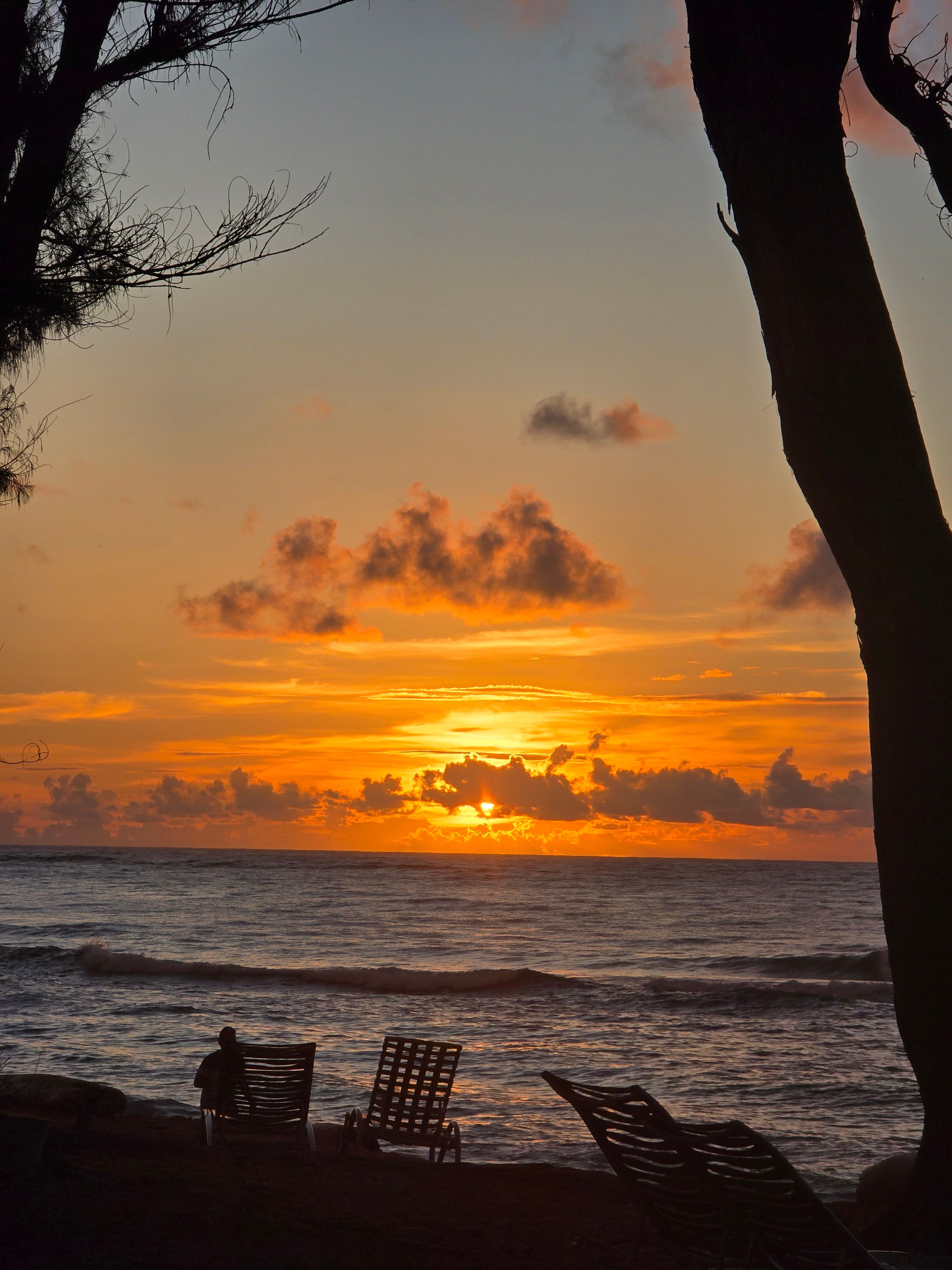 ALOHA KAUAI YOGA FESTIVAL AND WORLDWIDE PEACE MEDITATION SUMMIT