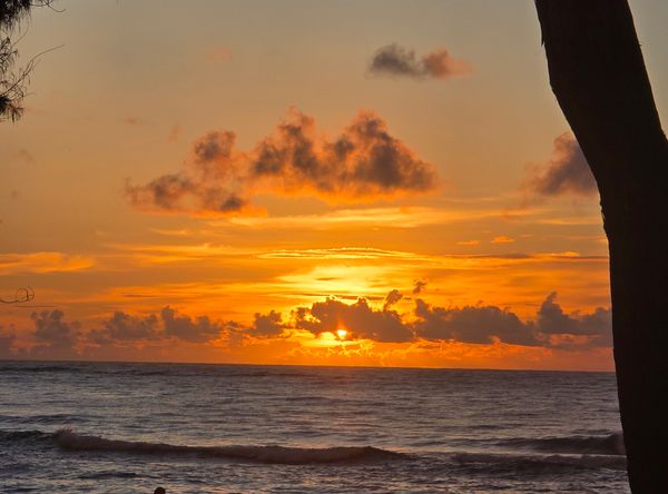 ALOHA KAUAI YOGA FESTIVAL AND WORLDWIDE PEACE MEDITATION SUMMIT