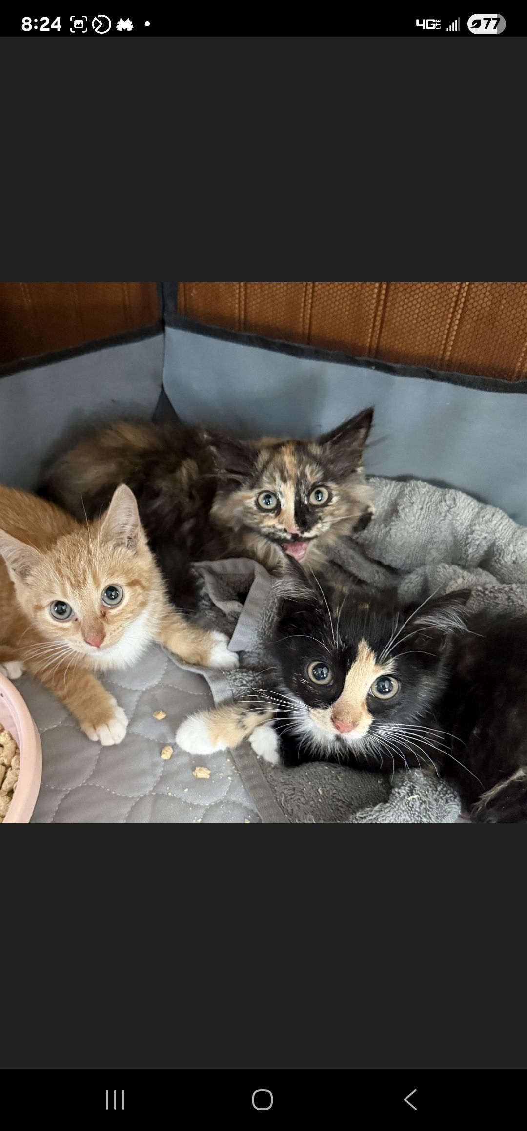 HEART Animal Rescue & Adoption Team Inc.