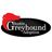 Austin Greyhound Adoption