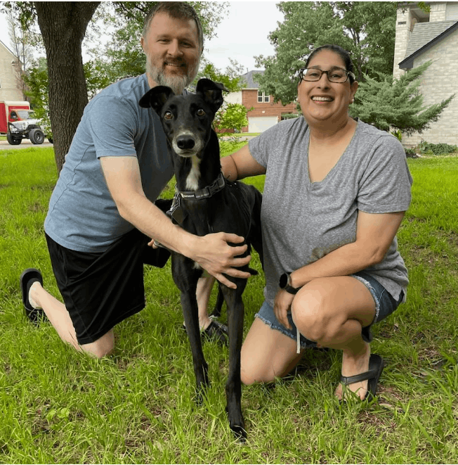 Austin Greyhound Adoption