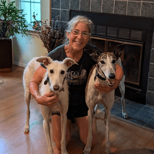 Austin Greyhound Adoption