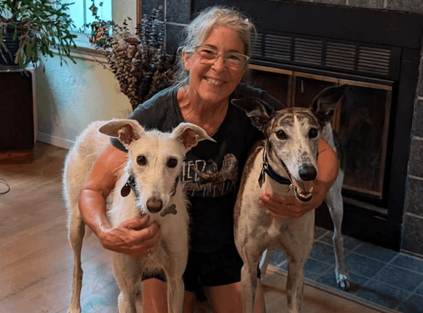 Austin Greyhound Adoption