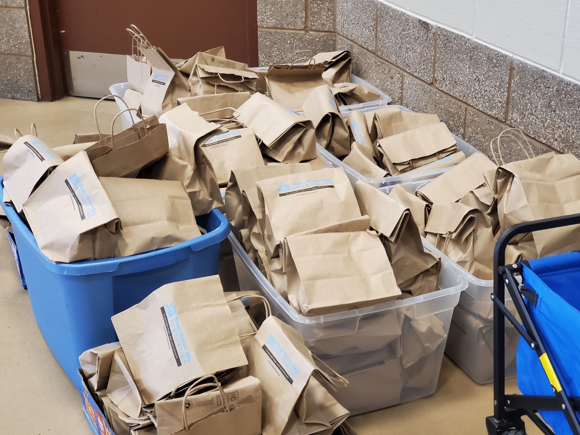 3B Brae's Brown Bag Foundation