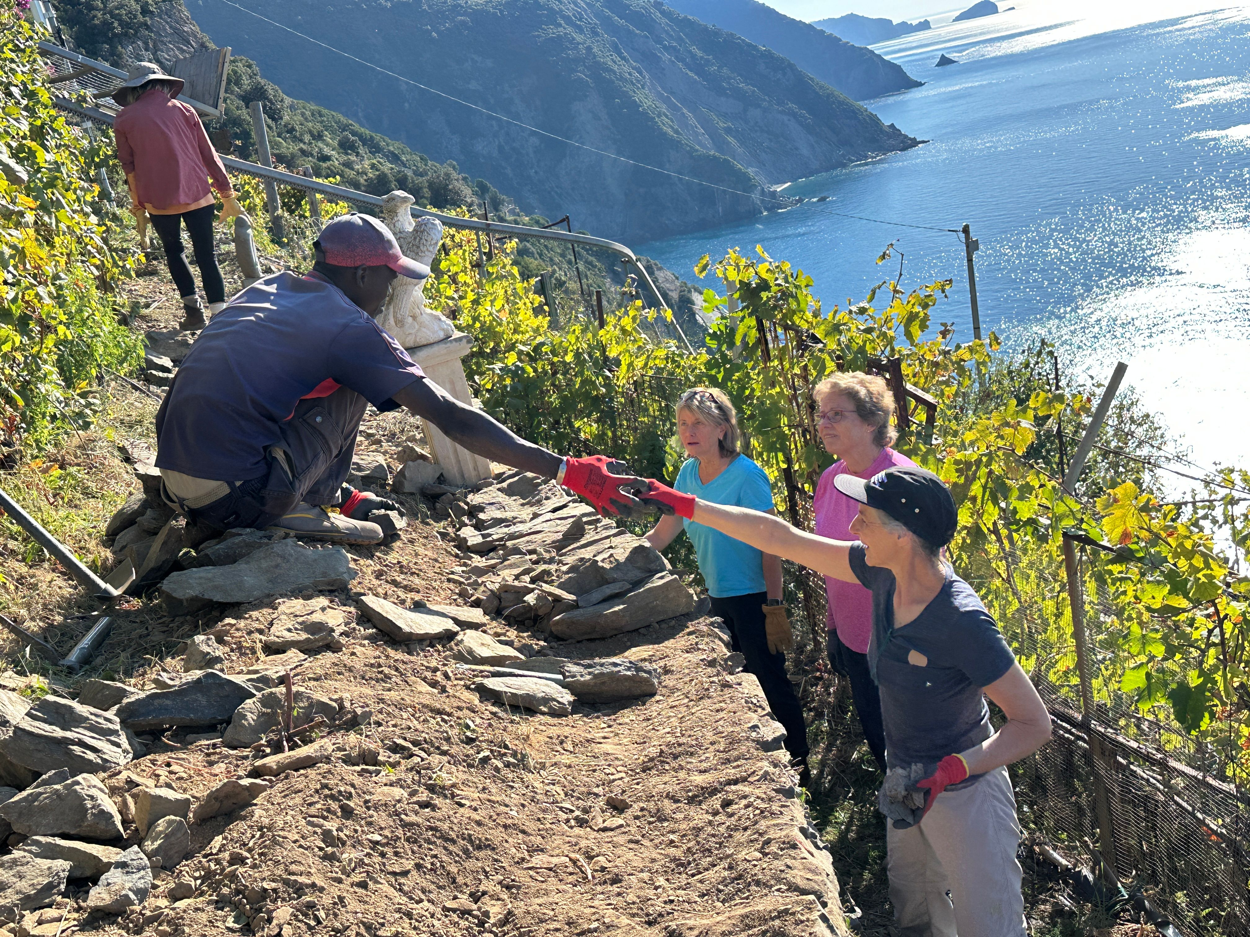 Conservation Volunteers International Program