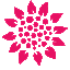 Alala Cancer Society
