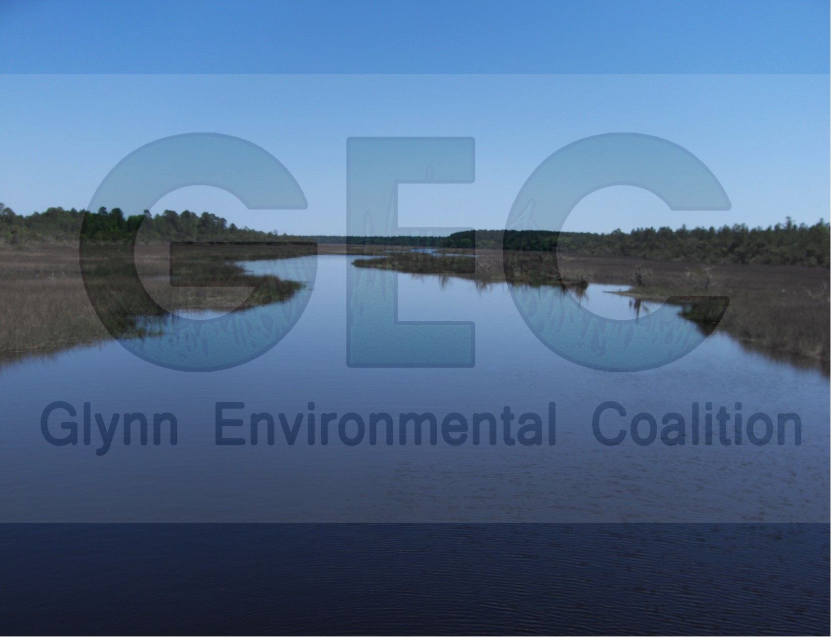 Glynn Environmental Coalition