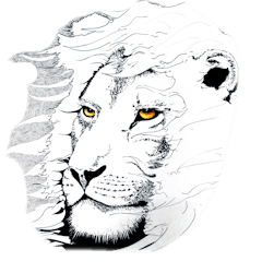 LION Outreach International, Inc