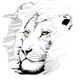 LION Outreach International, Inc