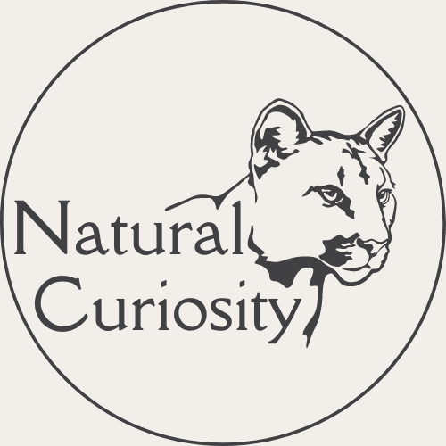 Natural Curiosity