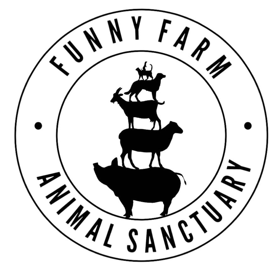 Funny Farm Animal Sanctuary