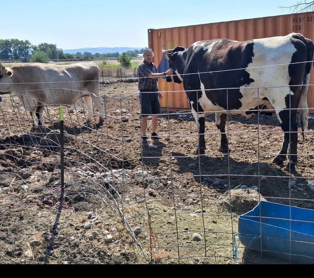 Funny Farm Animal Sanctuary