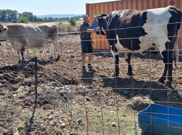 Funny Farm Animal Sanctuary