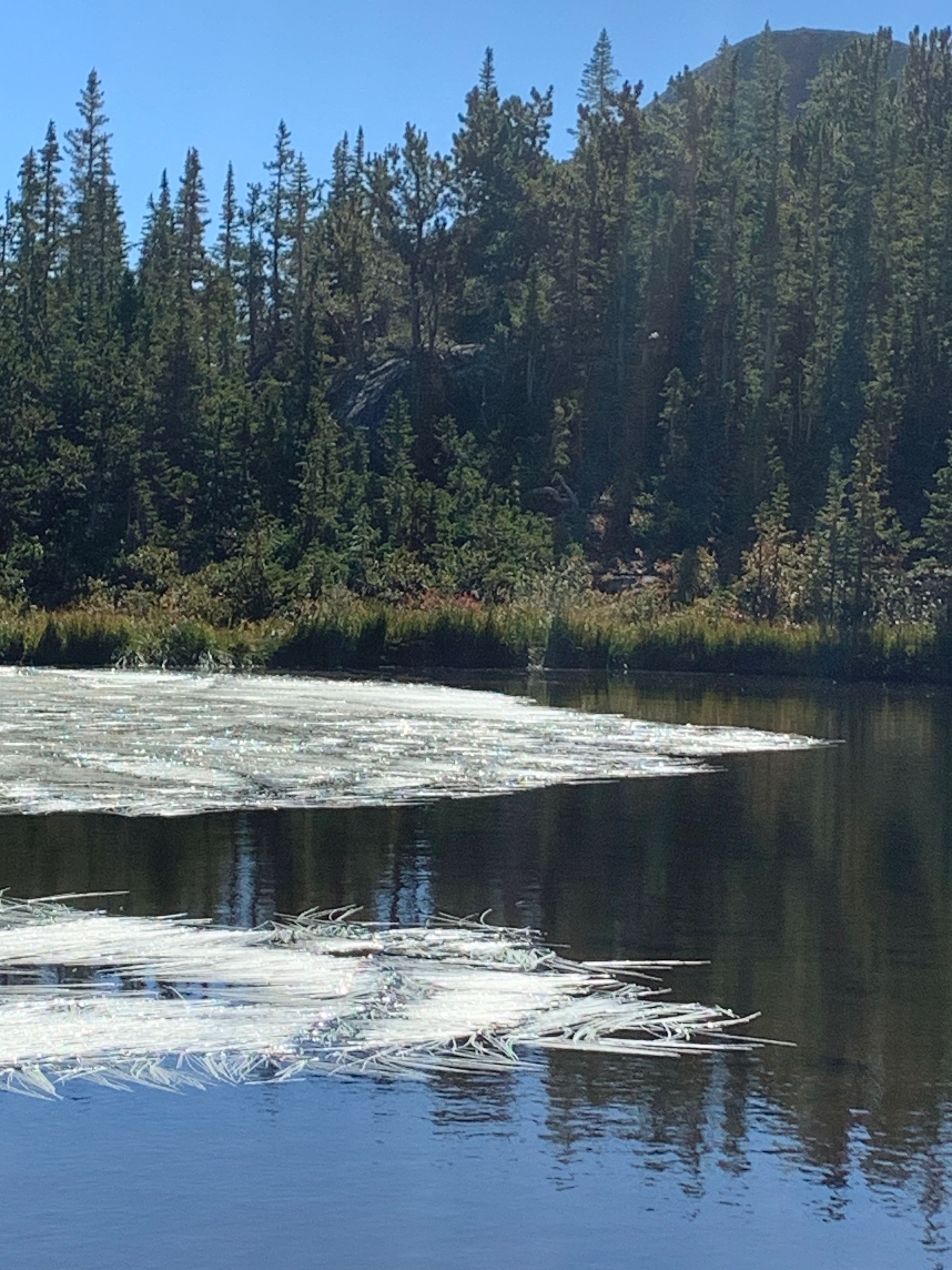 Indian Peaks Wilderness Alliance