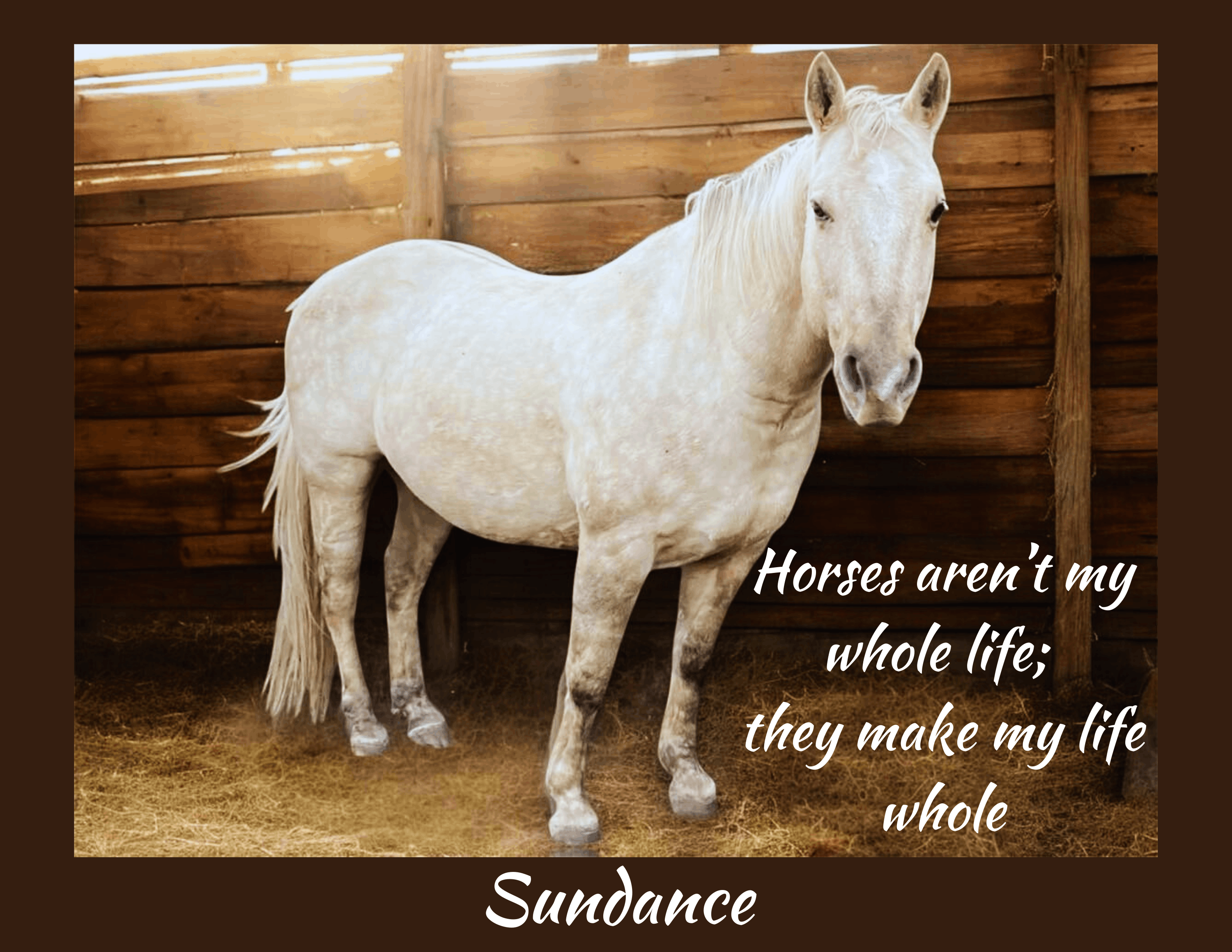 Easy R Equine Rescue