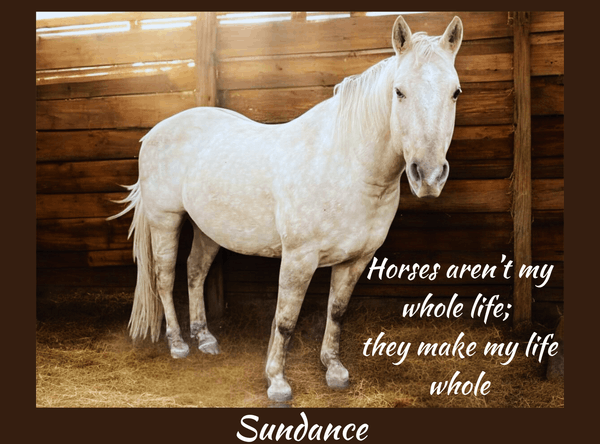 Easy R Equine Rescue