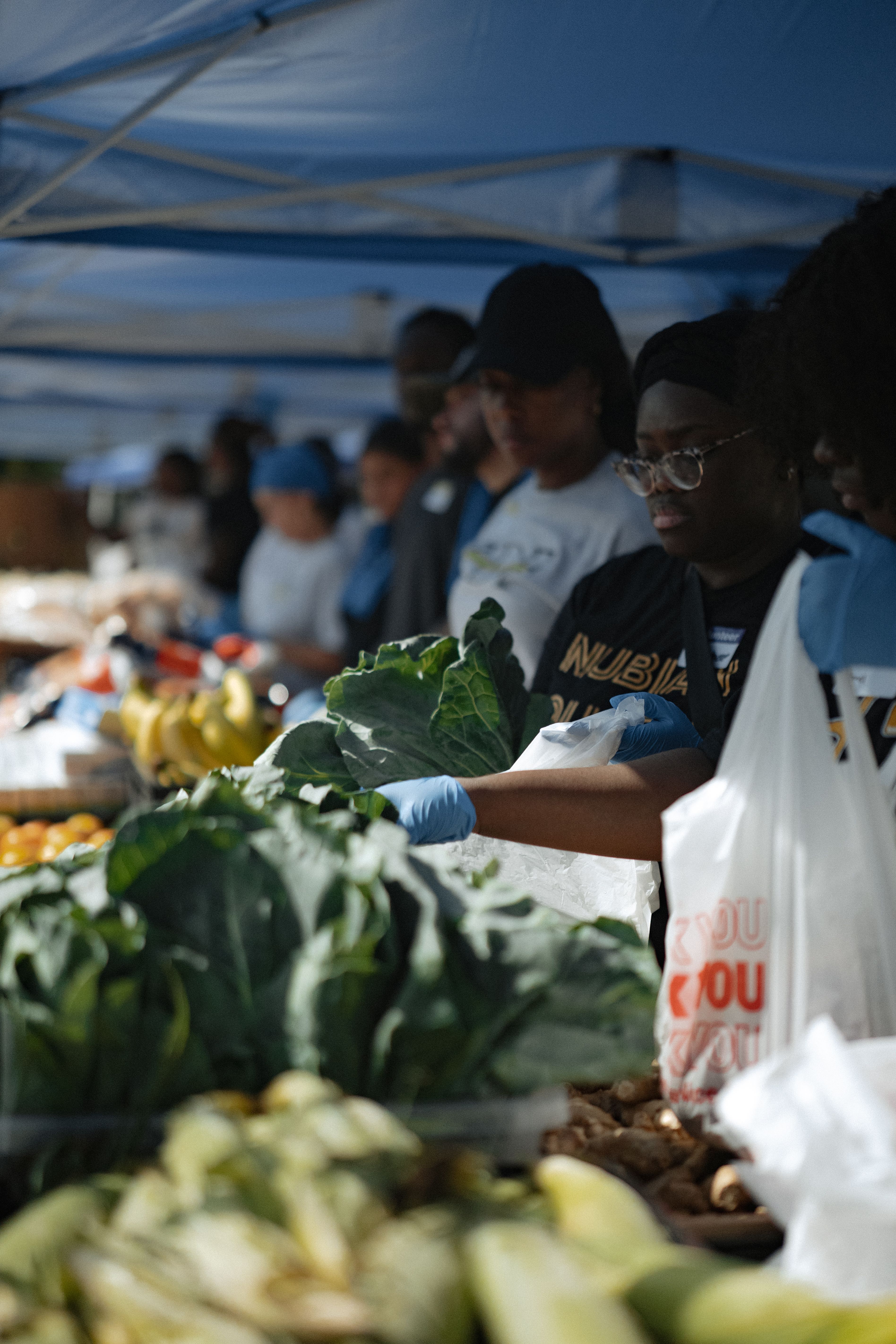 The Desire Foundation Inc