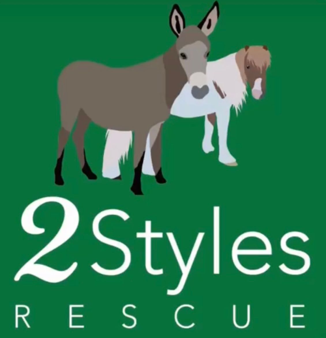 2 Styles Rescue Corporation