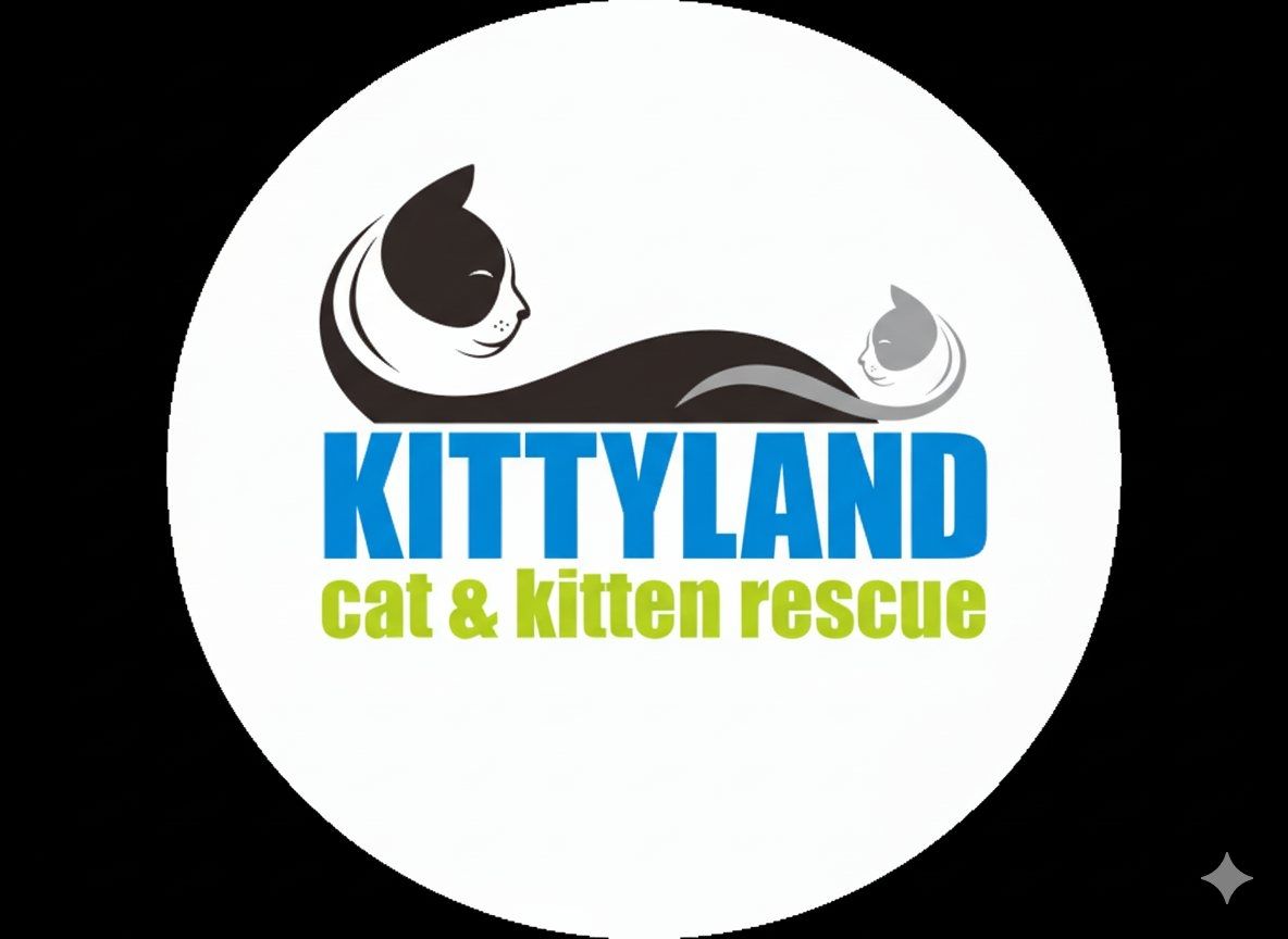 Kittyland Cat & Kitten Rescue