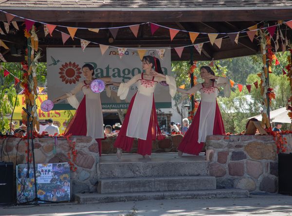 Southern Arizona Arts & Cultural Alliance