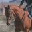 Canter Haven Farm