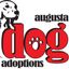 Augusta Dog Adoptions