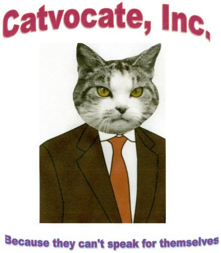 Catvocate, Inc.