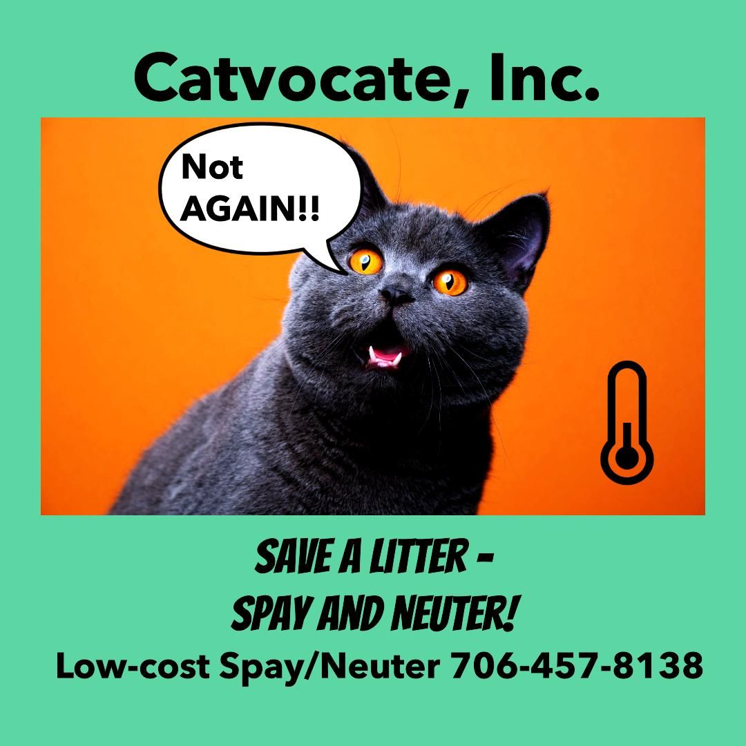 Catvocate, Inc.