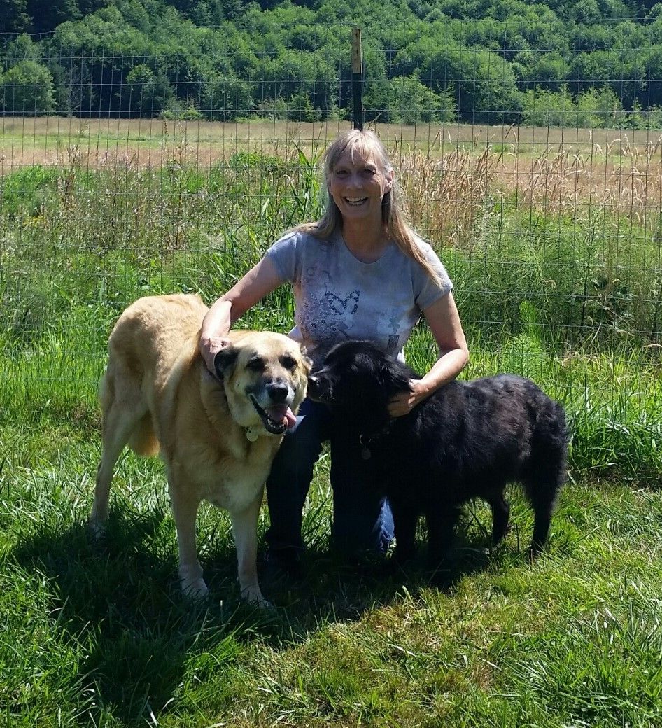 Angels For Sara Sanctuary