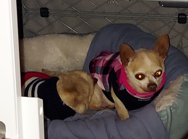 Angels For Sara Sanctuary